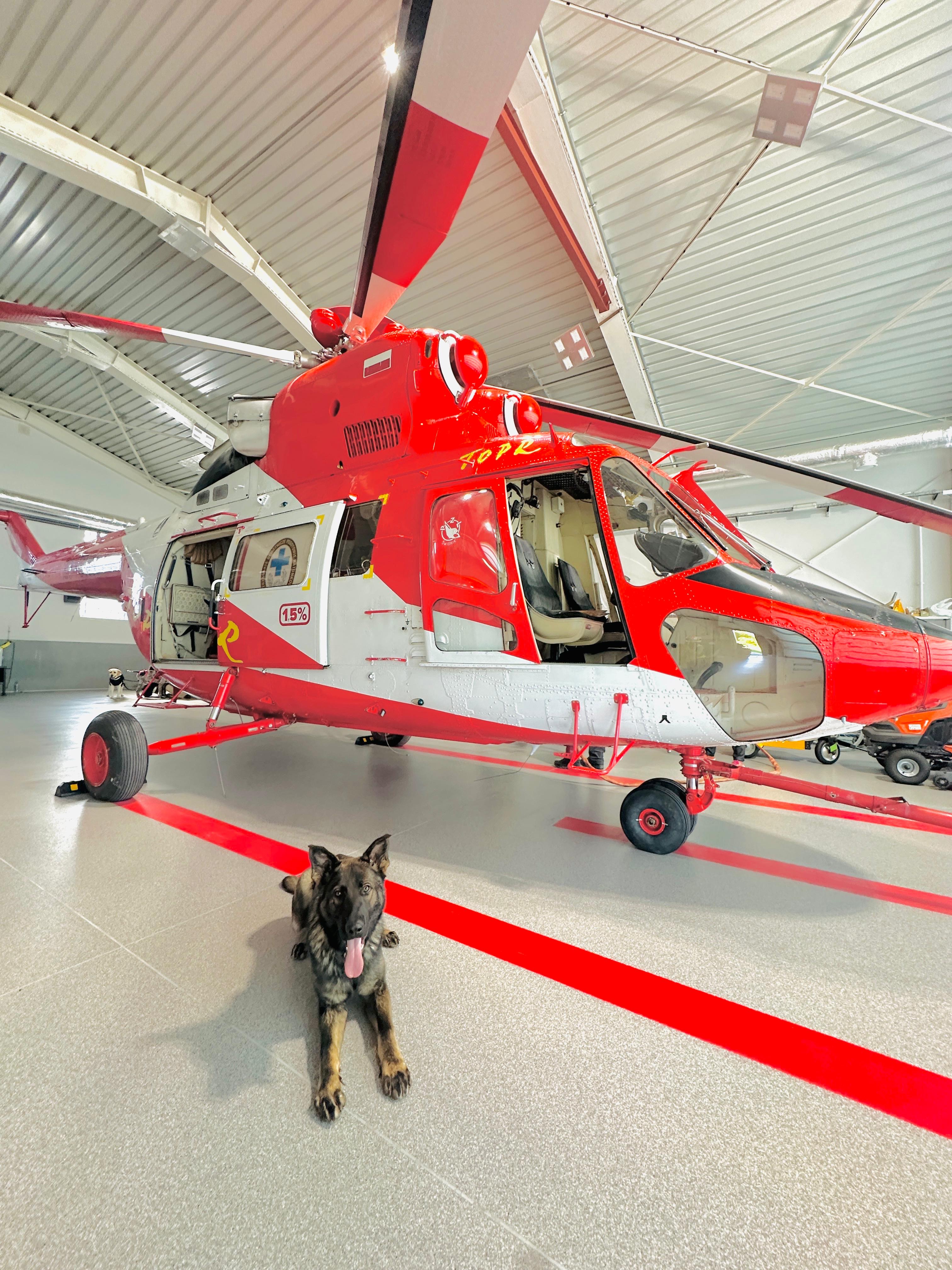 Spoločné cvičenie slovenských a&nbsp;poľských kynológov